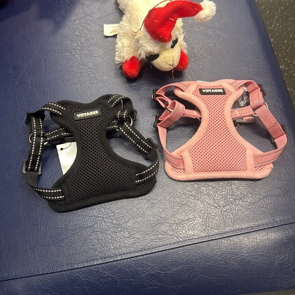 Black and Pink Pet Harness Set XS
